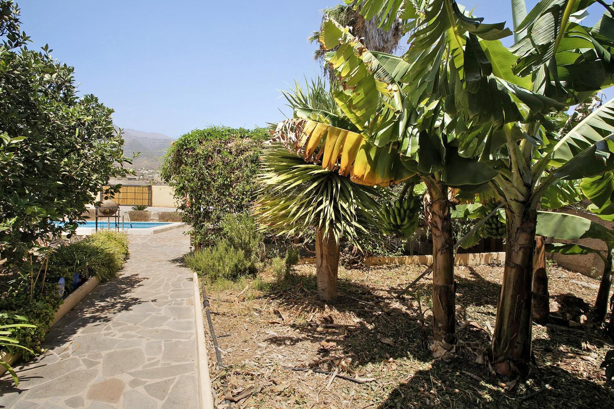 Las Tres Palmeras Güimar Kültér fotó