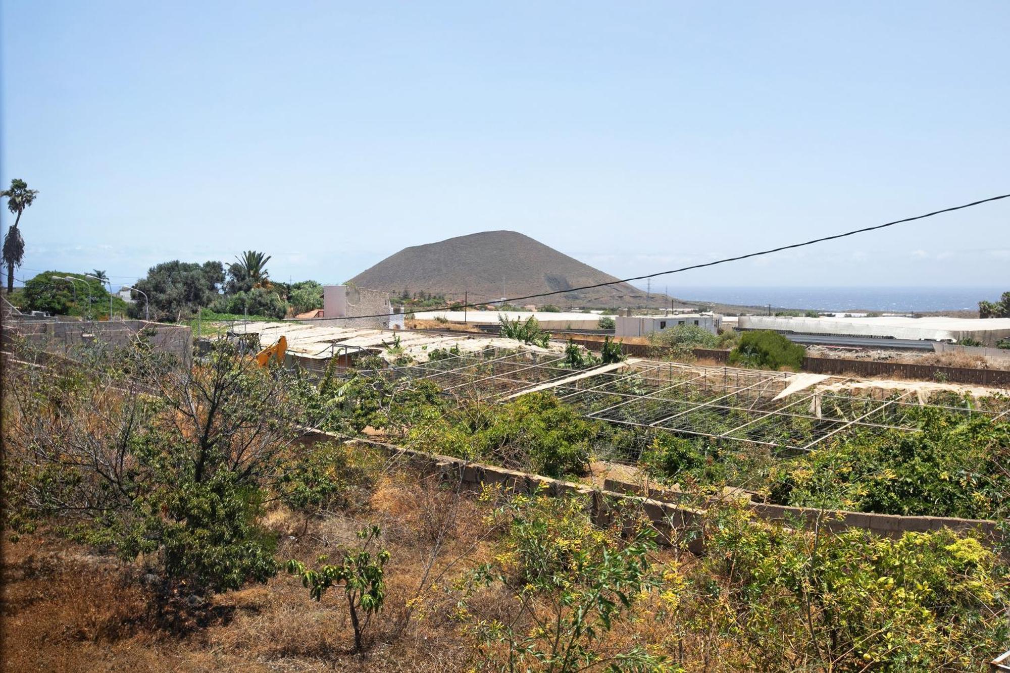 Las Tres Palmeras Güimar Kültér fotó